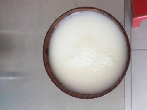 策格(酸马奶)疗法